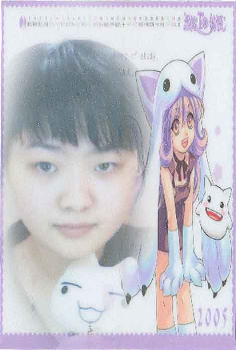 诛灭Z金砖菜